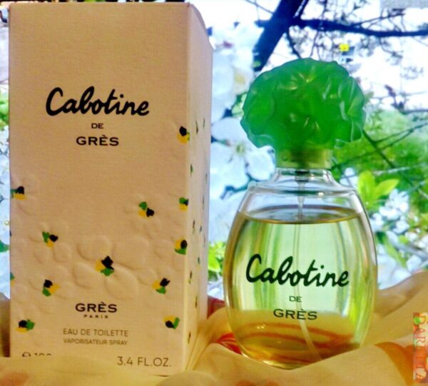 Cabotine de Grès 100Ml. - Image 3